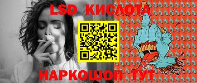 гидра Вышний Волочёк