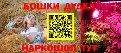 гидра Вышний Волочёк