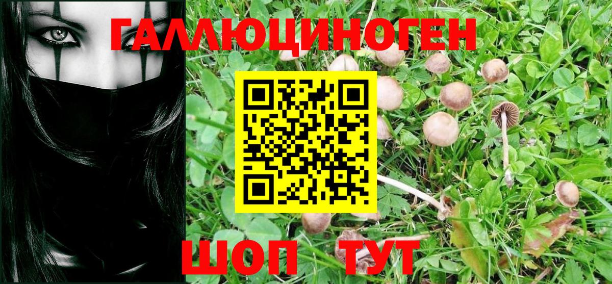 Псилоцибиновые грибы мухоморы  Псилоцибиновые грибы GOLDEN TEACHER  Тамбов  Вход с VPN 