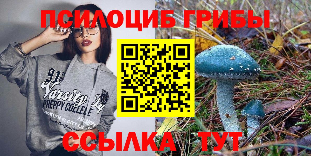 Псилоцибиновые грибы ЛСД Тамбов